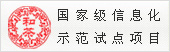 国家级信息化示范试点项目